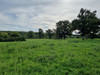 French property for sale in Montmorillon, Vienne - €795,000 - thumbnail 9