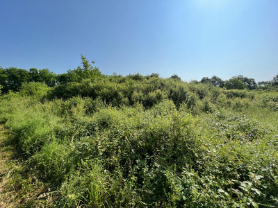 French property for sale in Ménesplet, Dordogne - €251,450 - photo 9