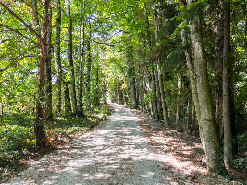 French property for sale in Annecy, Haute-Savoie - €3,885,000 - photo 9
