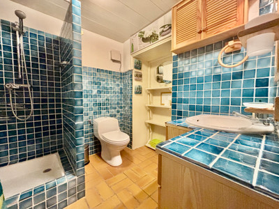 Ski property for sale in Saint Gervais - €575,000 - photo 12