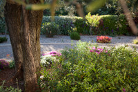 Maison à Cébazan, Hérault - photo 5