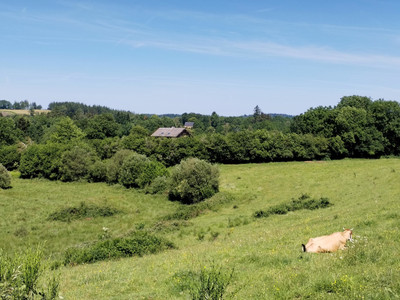 French property for sale in Lacelle, Corrèze - €349,000 - photo 8