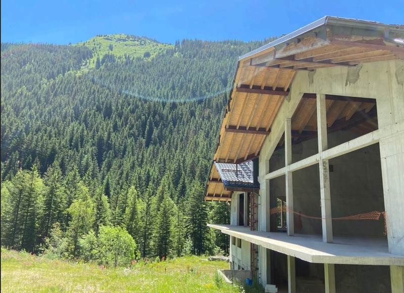 Propriété de ski à vendre - La Plagne - 2 400 000 € - photo 3