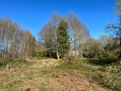 French property for sale in La Coquille, Dordogne - €20,000 - photo 1