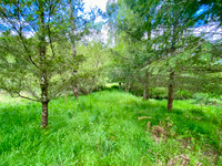 Terrain à Rochechouart, Haute-Vienne - photo 4