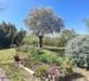 French property for sale in Campagnan, Hérault - €319,000 - thumbnail 14