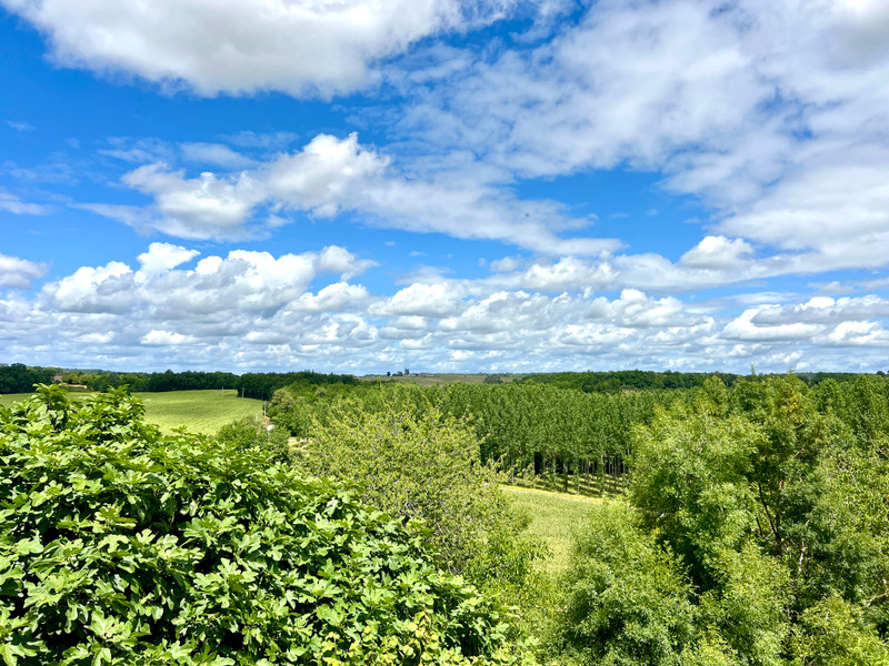 French property for sale in Duras, Lot-et-Garonne - €1,250,000 - photo 8