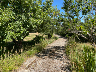 French property for sale in Villecelin, Cher - €267,500 - photo 14