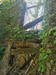 French property for sale in La Gacilly, Morbihan - €25,000 - thumbnail 14