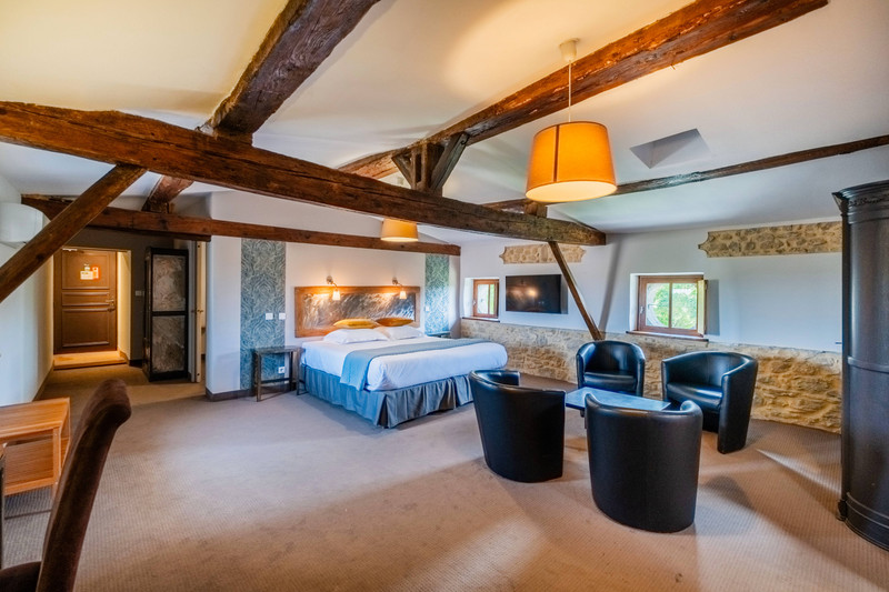 French property for sale in Carcassonne, Aude - €3,300,000 - photo 6