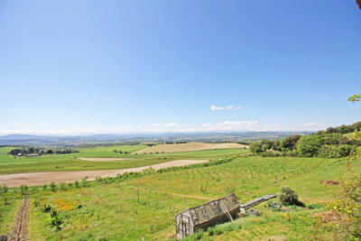 French property for sale in Limoux, Aude - €1,800,000 - photo 7