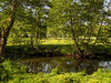 French property for sale in Montgivray, Indre - €381,600 - thumbnail 14