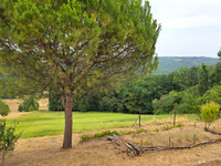 Propriété à vendre à Plazac, Dordogne - 453 000 € - photo n°7