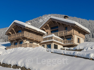 Ski property for sale in  - €2,750,000 - photo 3
