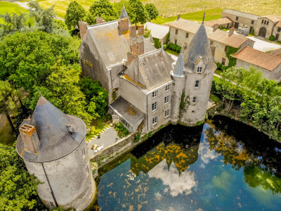 chateau for sale in Pays-de-la-Loire