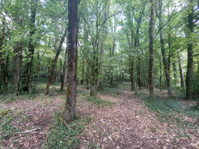 French property for sale in Bouteilles-Saint-Sébastien, Dordogne - €328,000 - photo 7