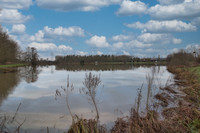 Lacs à vendre à Connerré, Sarthe - 185 760 € - photo 3