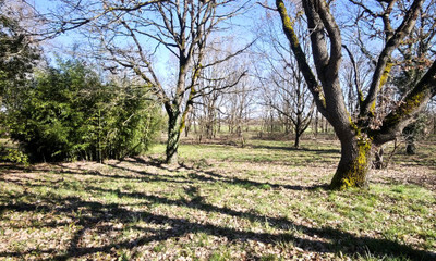 French property for sale in Villemur-sur-Tarn, Haute-Garonne - €172,800 - photo 8