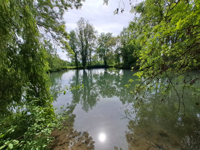 Maison à vendre à Chef-Boutonne, Deux-Sèvres, Poitou-Charentes, avec Leggett Immobilier