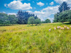 French property for sale in Séreilhac, Haute-Vienne - €497,000 - thumbnail 14
