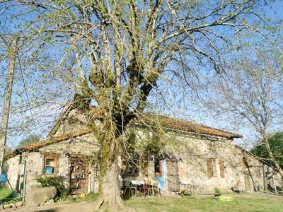 house for sale in Charente