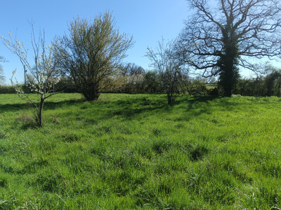French property for sale in Availles-Limouzine, Vienne - €77,000 - photo 7