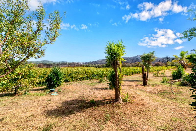 French property for sale in Thézan-des-Corbières, Aude - €589,000 - photo 5