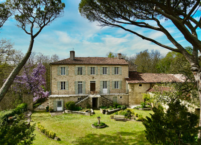 Marvellous C15th Chateau in the heart of the Gers countryside + 5Ha wood  + pool + guest house + outbuildings