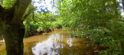 French property for sale in Bressuire, Deux-Sèvres - €297,940 - photo 2