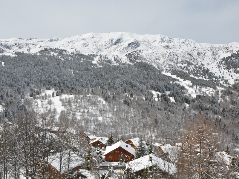 Propriété de ski à vendre - Meribel - 2 590 000 € - photo 9