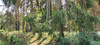 French property for sale in Caunay, Deux-Sèvres - €269,500 - thumbnail 11