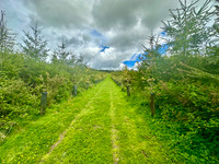 Terrain à vendre à Langonnet, Morbihan - 848.000 € - photo 1