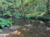 French property for sale in Nontron, Dordogne - €530,000 - thumbnail 9