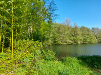 Lacs à vendre à Bazouges Cré sur Loir, Sarthe - 215.000 € - photo 3