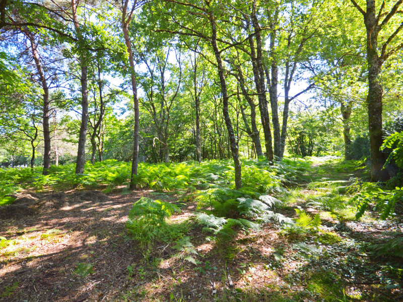 French property for sale in Anlhiac, Dordogne - €242,000 - photo 14