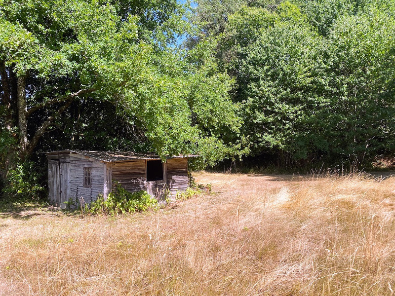 French property for sale in Cellefrouin, Charente - €194,400 - photo 3