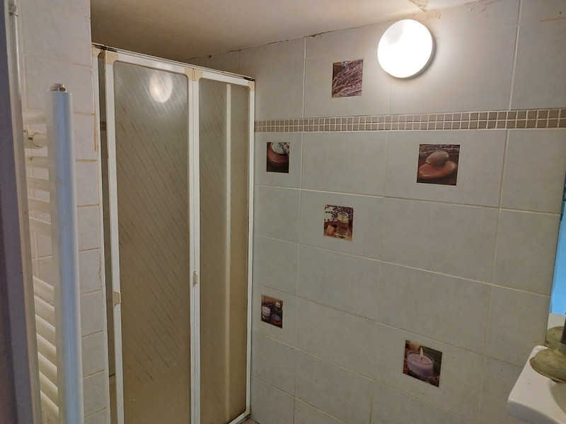 French property for sale in Surin, Vienne - €82,500 - photo 9