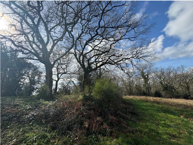 French property for sale in Maulichères, Gers - €65,000 - photo 6