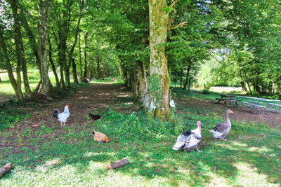 French property for sale in Brantôme en Périgord, Dordogne - €575,000 - photo 5