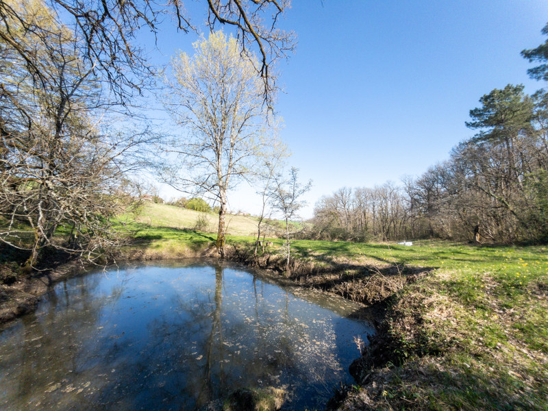French property for sale in Bertric-Burée, Dordogne - €234,000 - photo 11