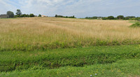 Terrain à vendre à Anglade, Gironde - 191.000 € - photo 4
