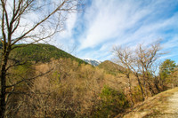 Terrain à vendre à Savoillan, Vaucluse - 110.000 € - photo 5