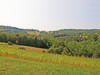 French property for sale in Teillots, Dordogne - €288,900 - thumbnail 9