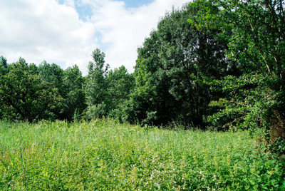 French property for sale in Saint-Paul-en-Gâtine, Deux-Sèvres - €19,000 - photo 3