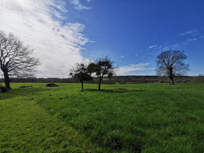 French property for sale in Peillac, Morbihan - €162,000 - photo 3