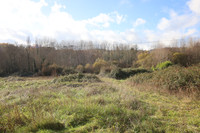 Propriété à vendre à Thonac, Dordogne - 75 210 € - photo n°2
