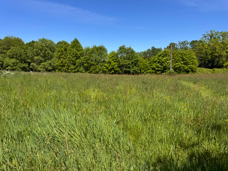 French property for sale in Brie-sous-Chalais, Charente - €288,900 - photo 9