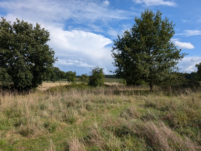 French property for sale in Saint-Denis-sur-Sarthon, Orne - €305,000 - photo 7