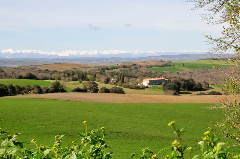 French property for sale in Montréal, Aude - €1,100,000 - photo 3