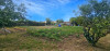 French property for sale in Bourneau, Vendée - €75,000 - thumbnail 14